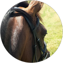 Leanne Jeffcoat profile picture