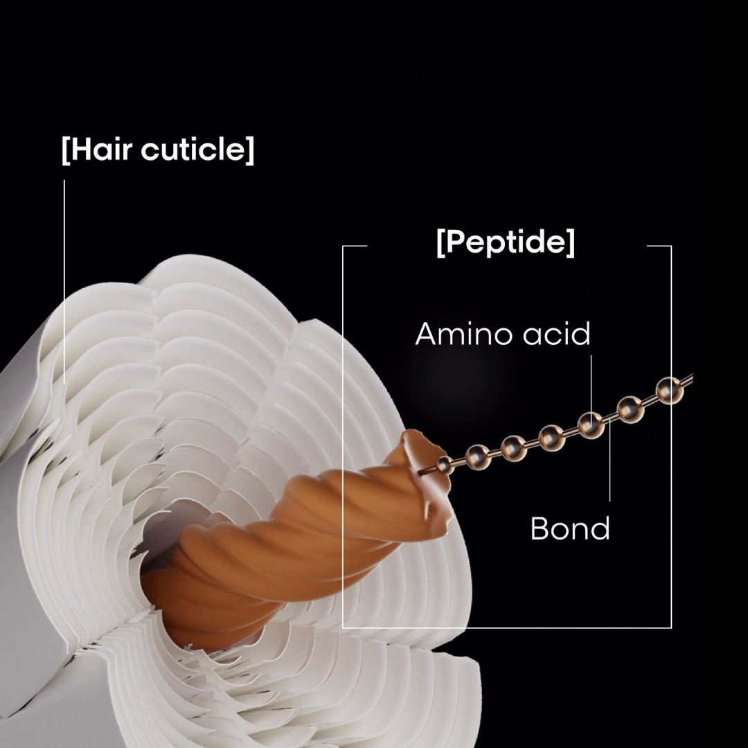 Peptides in hair and haircare products
